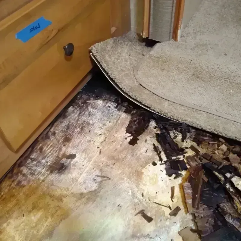 Wood Floor Water Damage in Francis, UT